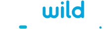 WildTornado Casino logo